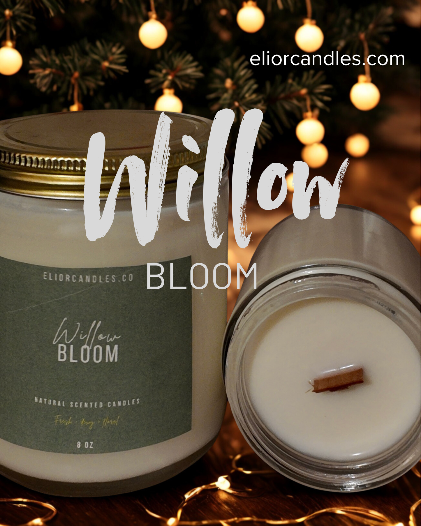 Willow Bloom
